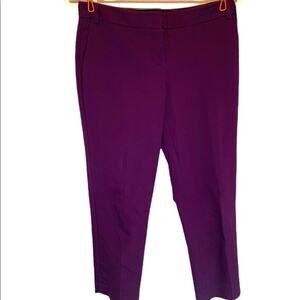 Express chino slacks. Deep lilac. Size 2 regular. Zip front‎ 2 side pockets